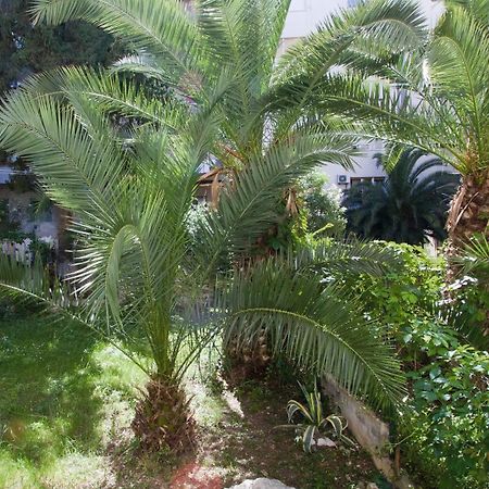 Apartments Crvena Orhideja Split Bagian luar foto