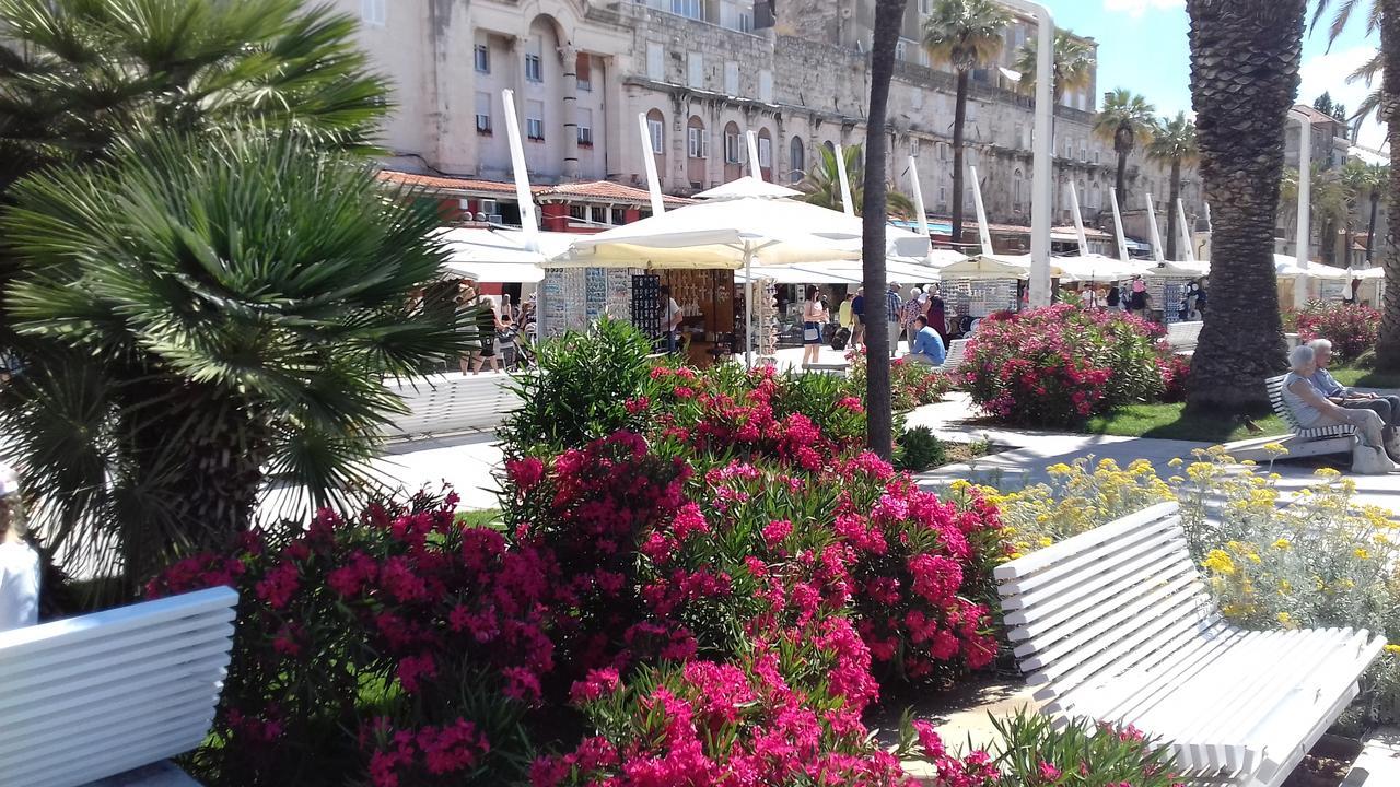Apartments Crvena Orhideja Split Bagian luar foto